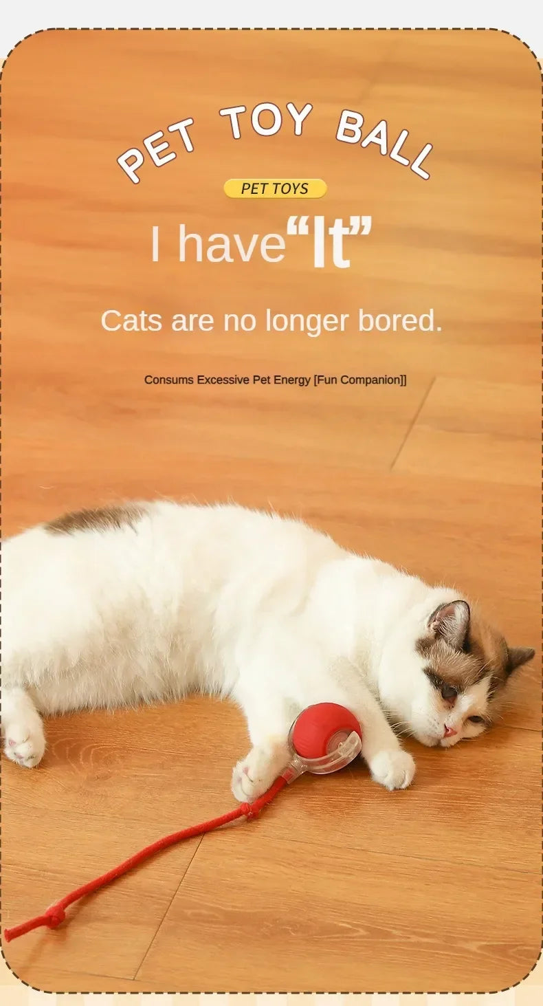 Interactive Self-Moving Cat Ball Toy